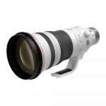 Canon RF 400mm f/2.8L IS USM - Imagen 3