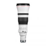 Canon RF 600mm f/4L IS USM - Imagen 2