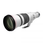 Canon RF 600mm f/4L IS USM - Imagen 3