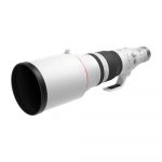 Canon RF 600mm f/4L IS USM - Imagen 5