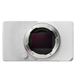 sigma bf (4)
